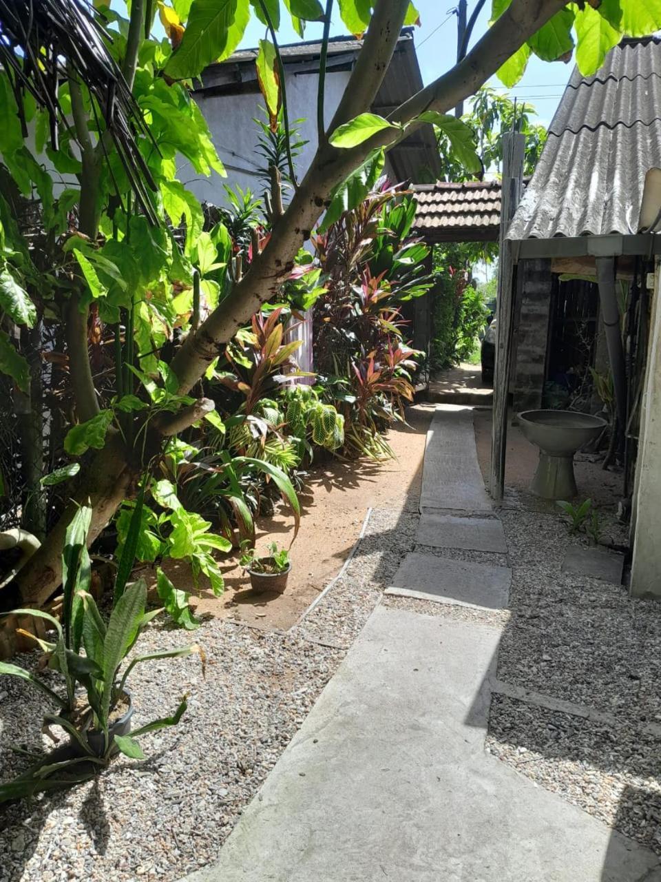 Brother'S Beach Home Bussa Exterior foto